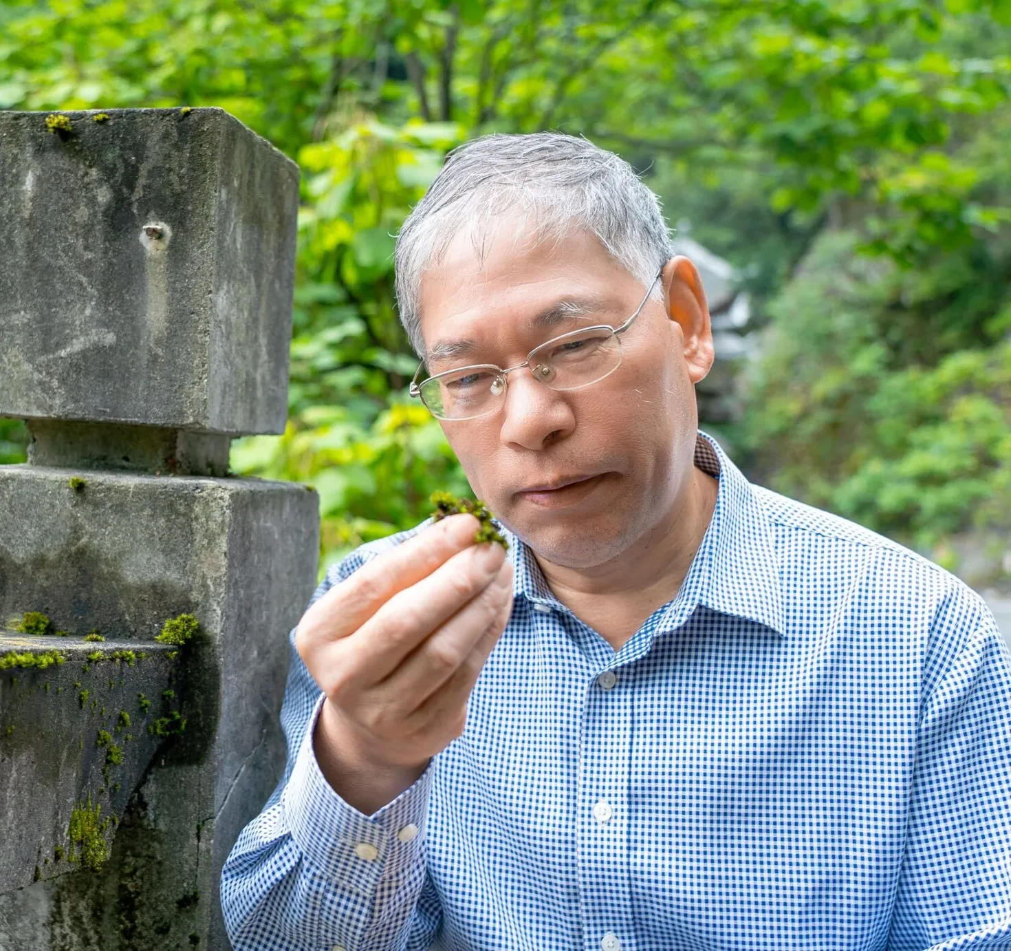 GUO, Shui-Liang — Hattori Prize 2025